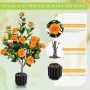 Artificial Camellia Tree 2 Pack, 36"Faux Camellia Plant in Pot with Orange Flowers, Greenery Potted Plant for Indoor Outdoor Office Home Porch Decor