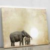 Elephants on a grunge background Canvas Print or Poster